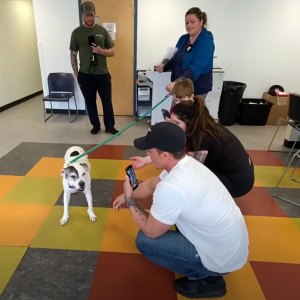 Dog Reunited With Family 11 Years After Being Stolen from Backyard