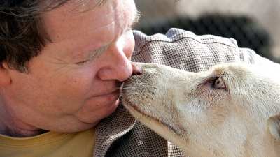 Former Actor and Founder of Animal Sanctuary Arrested on Attempted Kidnapping Charge Leo Grillo