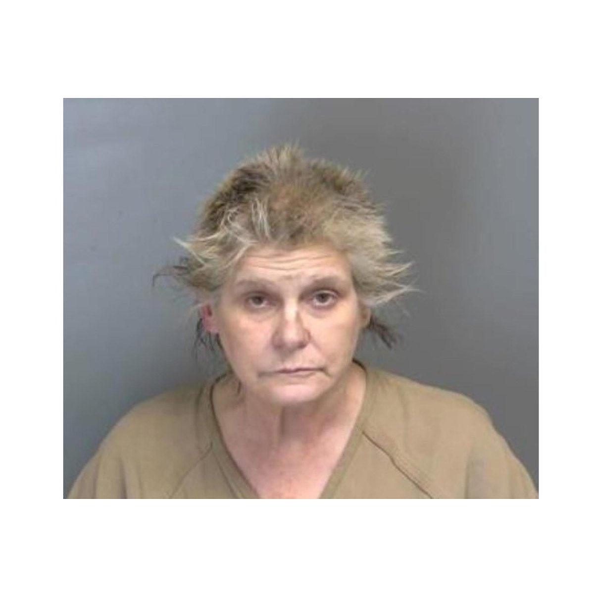 Judge Orders Removal of Dogs Turtles From Alleged Drug Dealer
