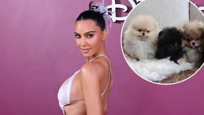 Kim Kardashian Shares Her 4 Puppies Despite PETA Backlash