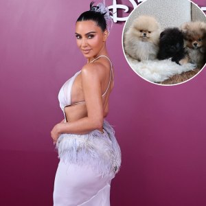 Kim Kardashian Shares Her 4 Puppies Despite PETA Backlash