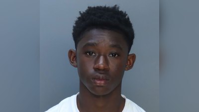 Nelson Nunez Mugshot