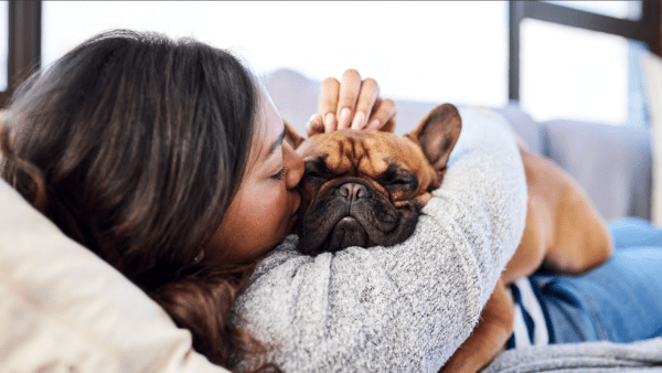 SpotPetInsurance
