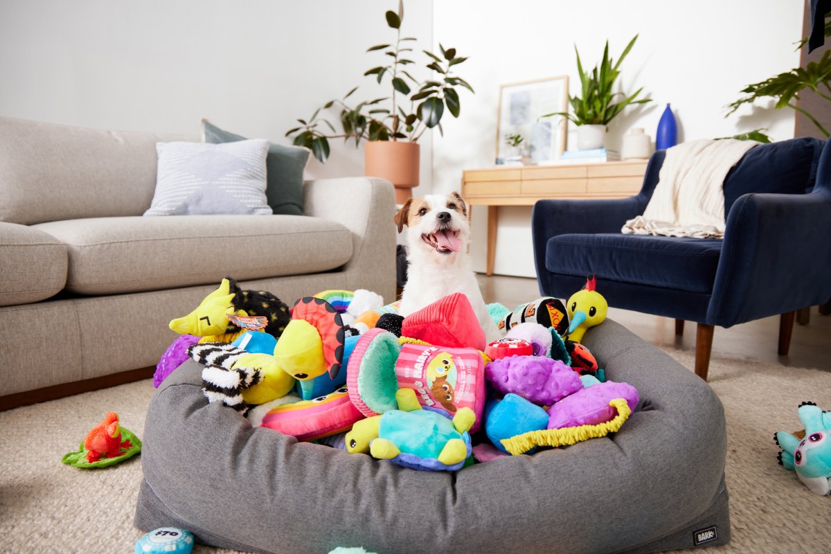 barkbox