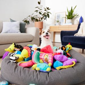 barkbox