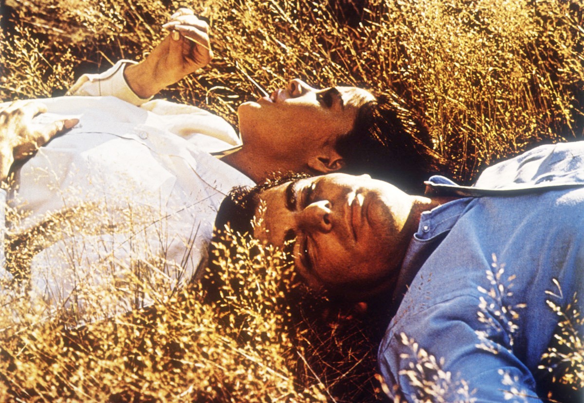 Richard Benjamin and Ali MacGraw in Goodbye, Columbus