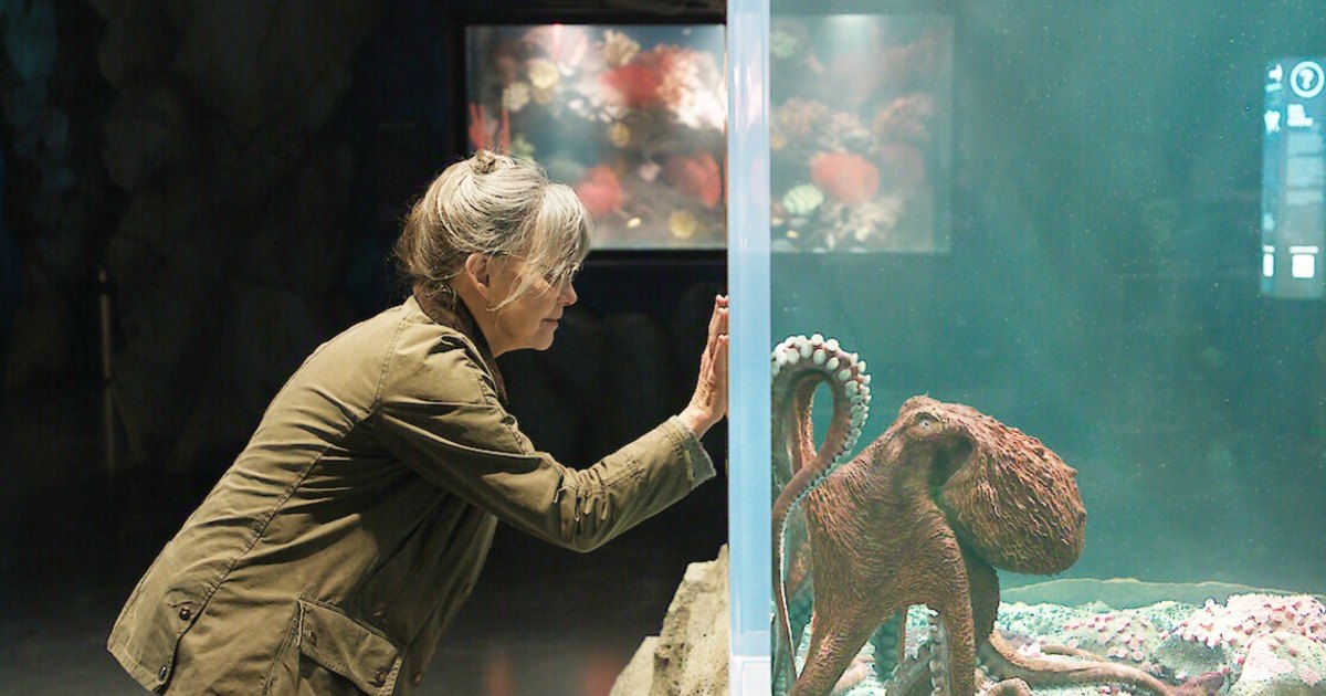 47 Best Movies on Netflix Right Now (May 2026): ‘Remarkably Bright Creatures’ and More 47 Best Movies on Netflix Right Now (May 2026): ‘Remarkably Bright Creatures’ and More