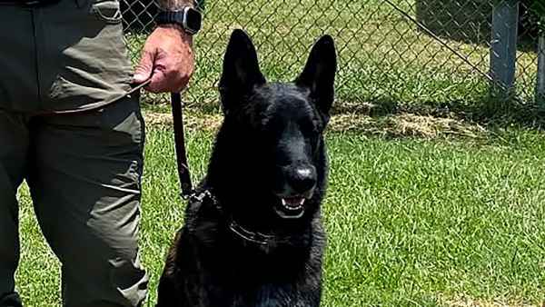Floki the K-9 from the Mississippi Department of Corrections
