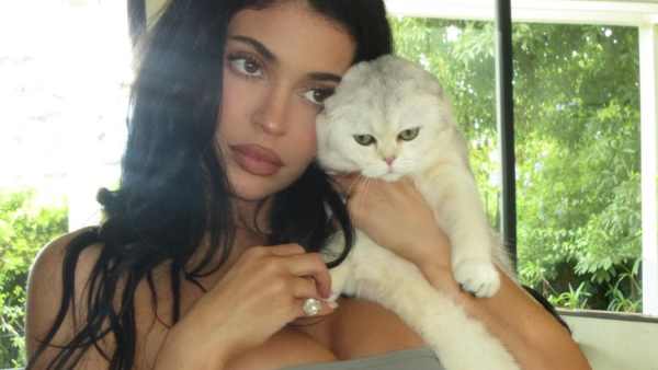 Kylie Jenner Turns Up the Heat in a Sizzling One Piece Swimsuit While Cuddling With Cat