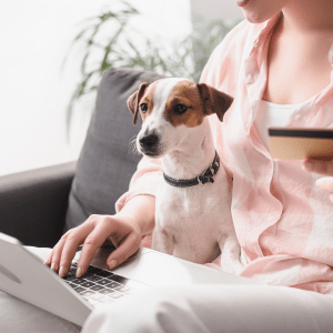 Lifestyle Desktop 1920x1080