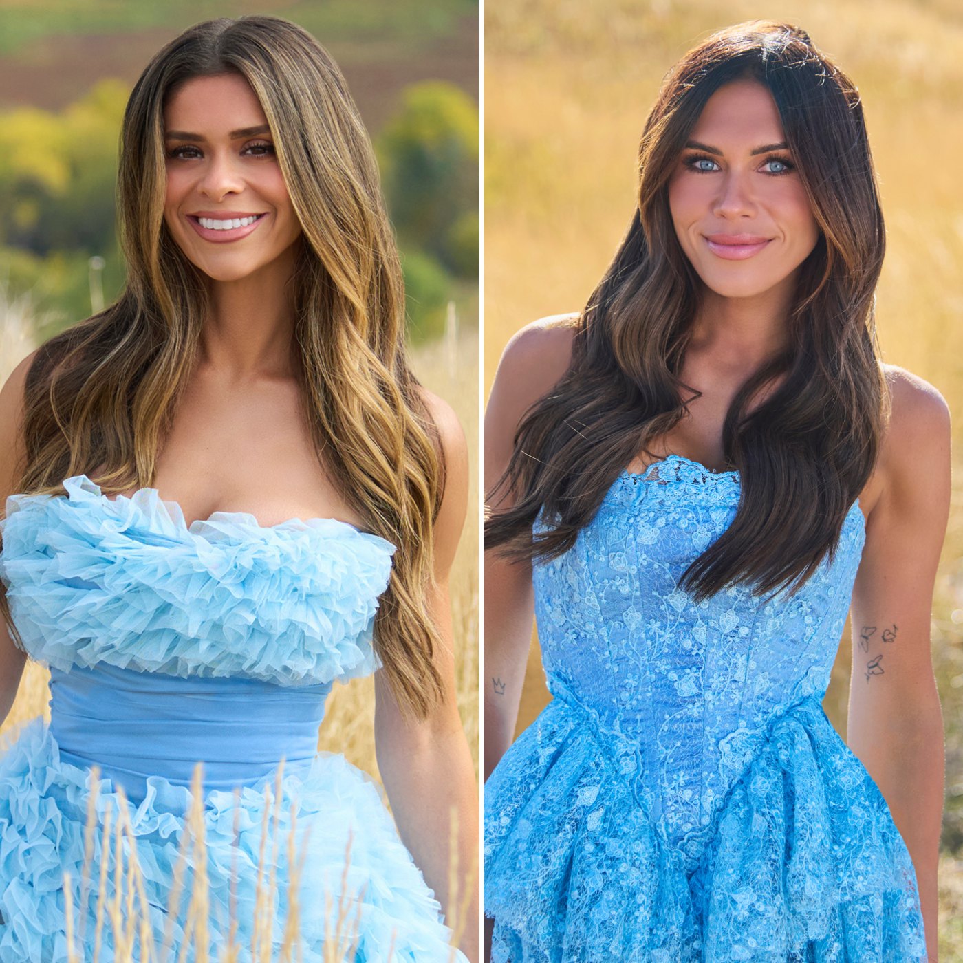 Taylor Paul's Bachelorette Suitor Tries to Date Jessi Draper