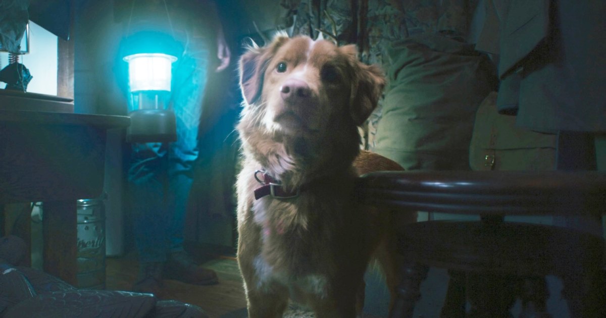 34 Best Movies on Hulu Right Now (April 2026): ‘Good Boy’ and More