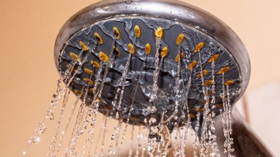 Getty 2177854516 Shower head