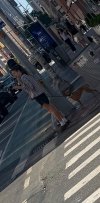 Amanda Batula and West Wilson Cozy Up on NYC Walk Amid Romance Drama 1