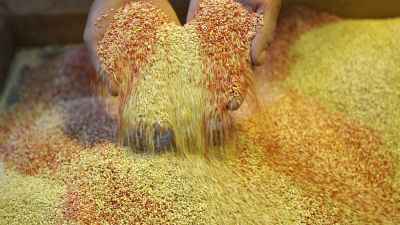 GettyImages-1178006004-Heritage-Grains-Are-Having-a-Moment-