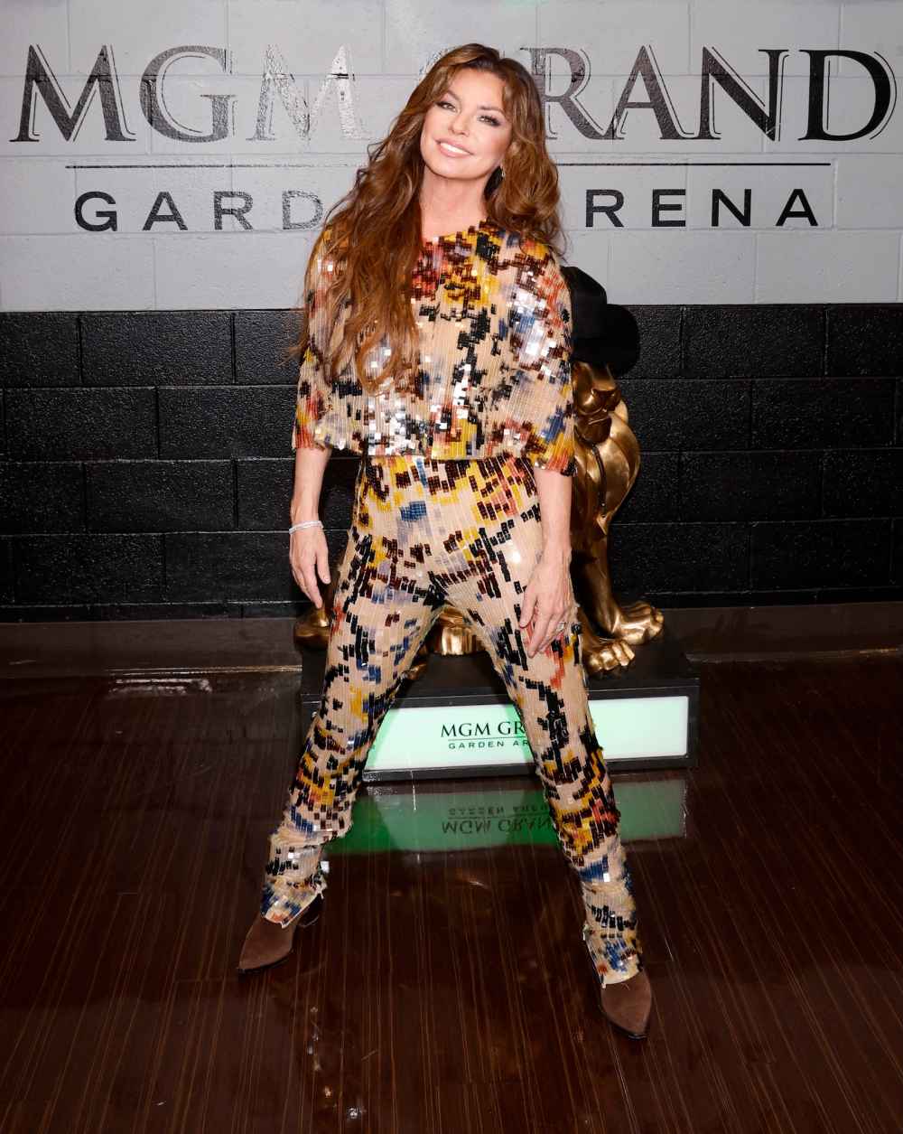 GettyImages-2276463802shaniatwainaheadofacms2026.jpg