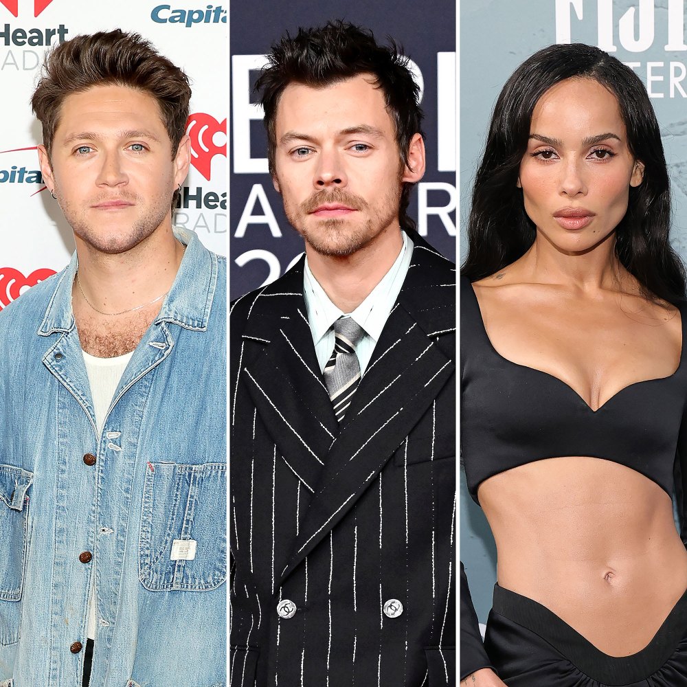 Niall Horan Is Clueless About Harry Styles and Zoe Kravitz Wedding