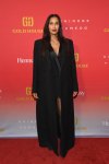 Padma Lakshmi Details Her Difficult Dating Life as a Single Mom Can I Do a Background Check