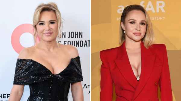 RHOBH's Diana Jenkins Denies She Was Friend Who Pushed Hayden Panettiere Into Bed With Famous Man