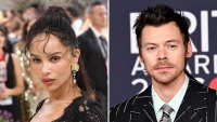 Zoe Kravitz at Harry Styles Concert