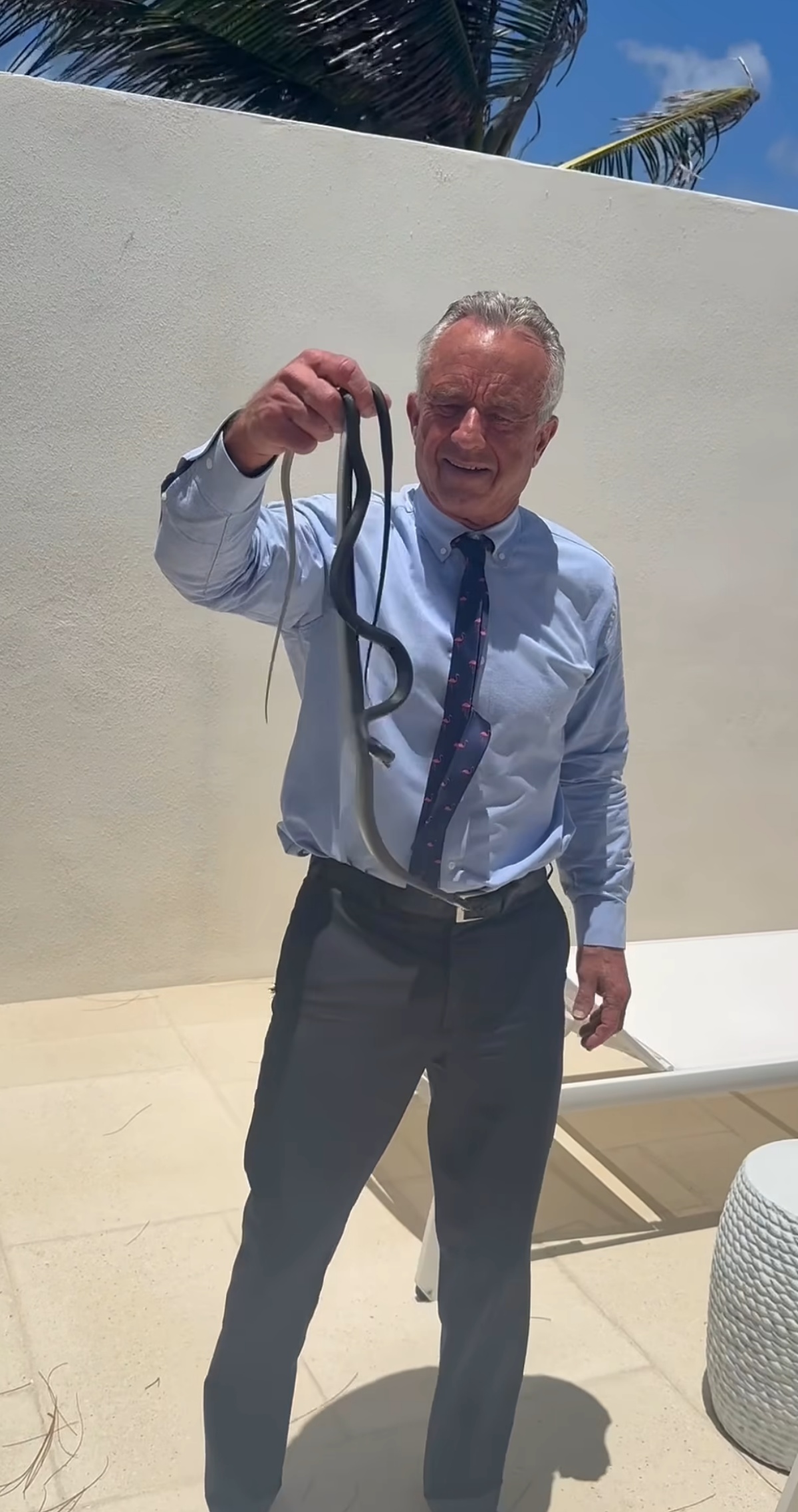 Robert F. Kennedy Jr. Stops 2 Dangerous Snakes From Having Sex on Dr. Oz Porch