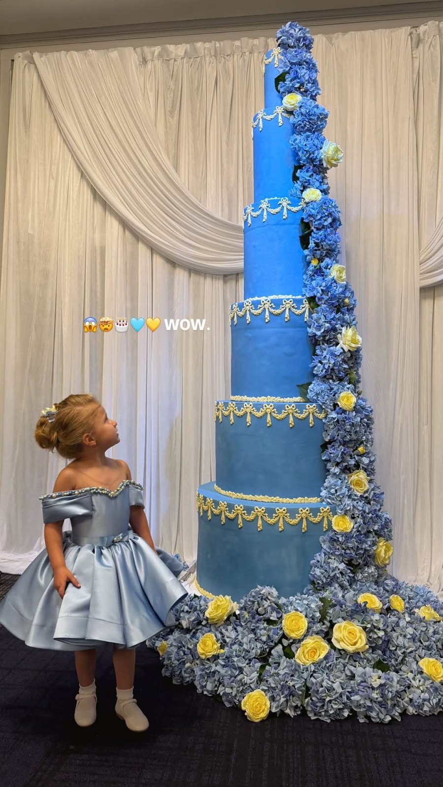 venezuela-cake_3898535234215853231