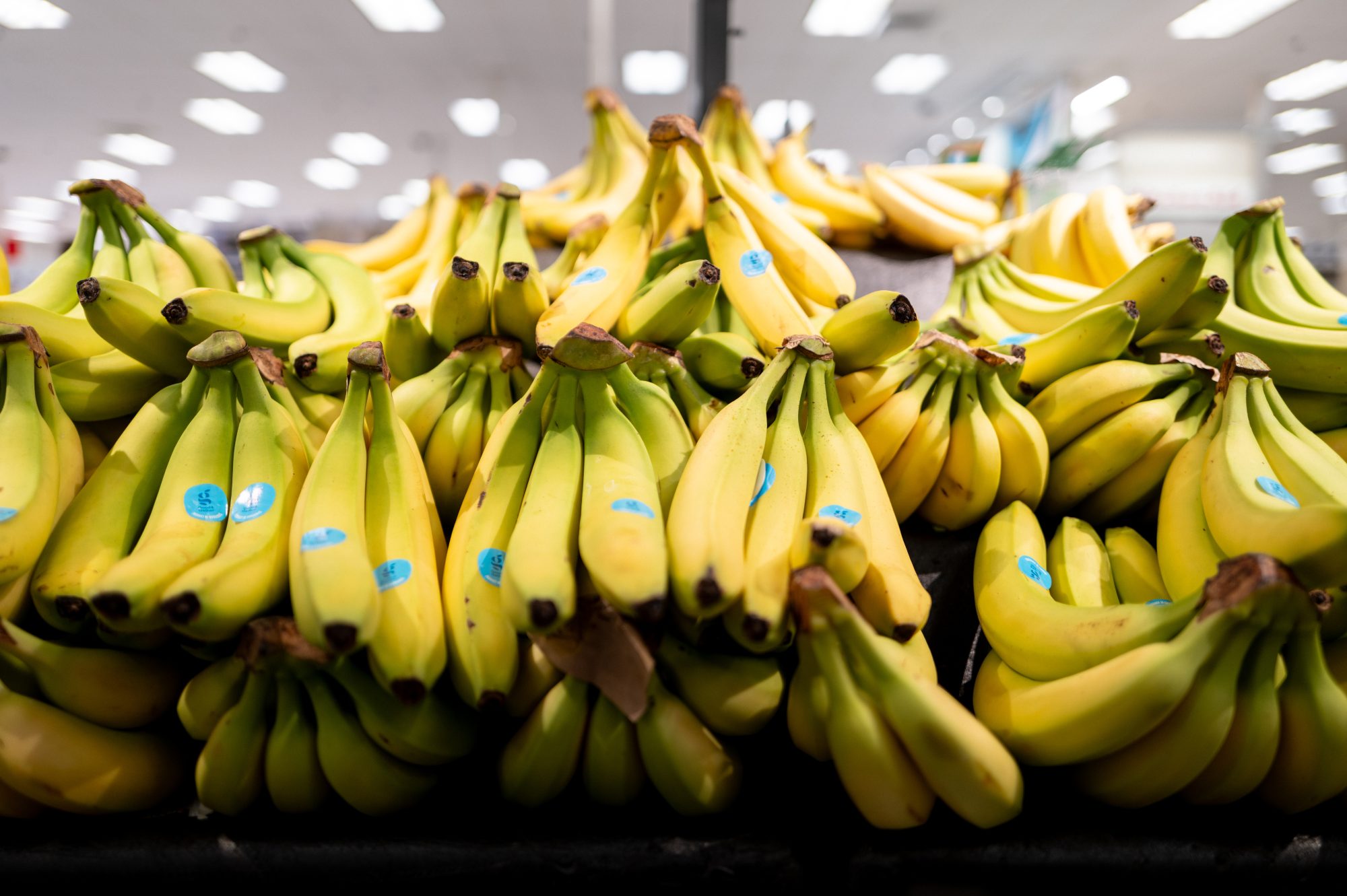 Getty Images - 2275673863 Bananas