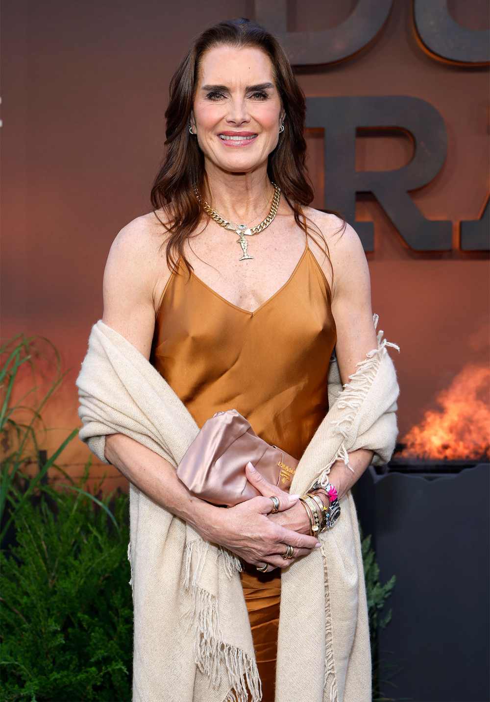 Brooke Shields Youre Killing Me 2