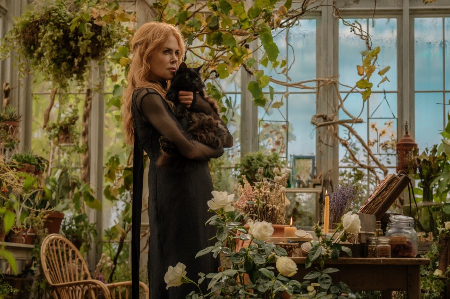 Everything to Know About Practical Magic 2 Nicole Kidman