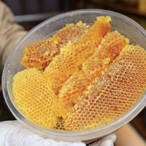 GettyImages-1569481904.Honey-Perfume-Is-the-Sweet-Home-Fragrance-Trend-Taking-Over-2026jpg.jpg