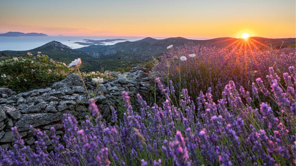 From the Pakleni Islands to family-run konobas, Hvar blends natural beauty, local heritage and a slower pace of life.