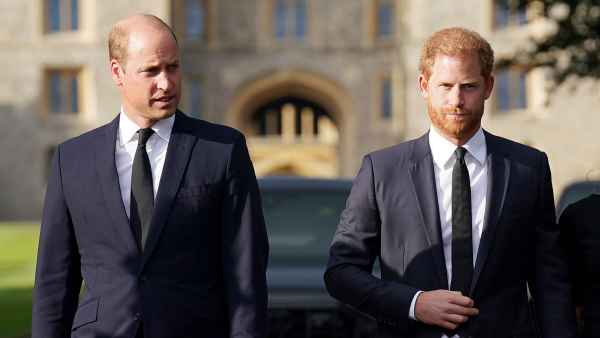 Prince Harry Has No Plans to Meet Prince William