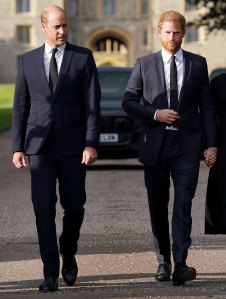 Prince Harry Has No Plans to Meet Prince William