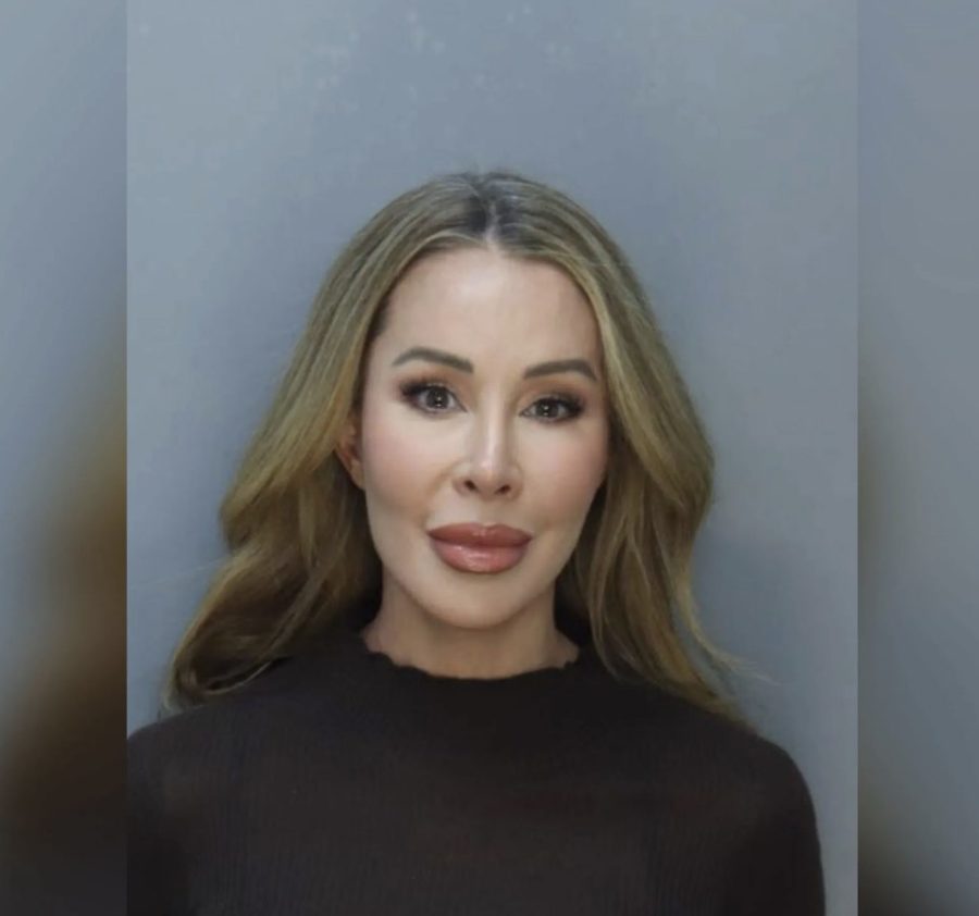 RHOM’s Lisa Hochstein Breaks Silence as Spying Charge Is Dropped RHOM’s Lisa Hochstein Breaks Silence as Spying Charge Is Dropped