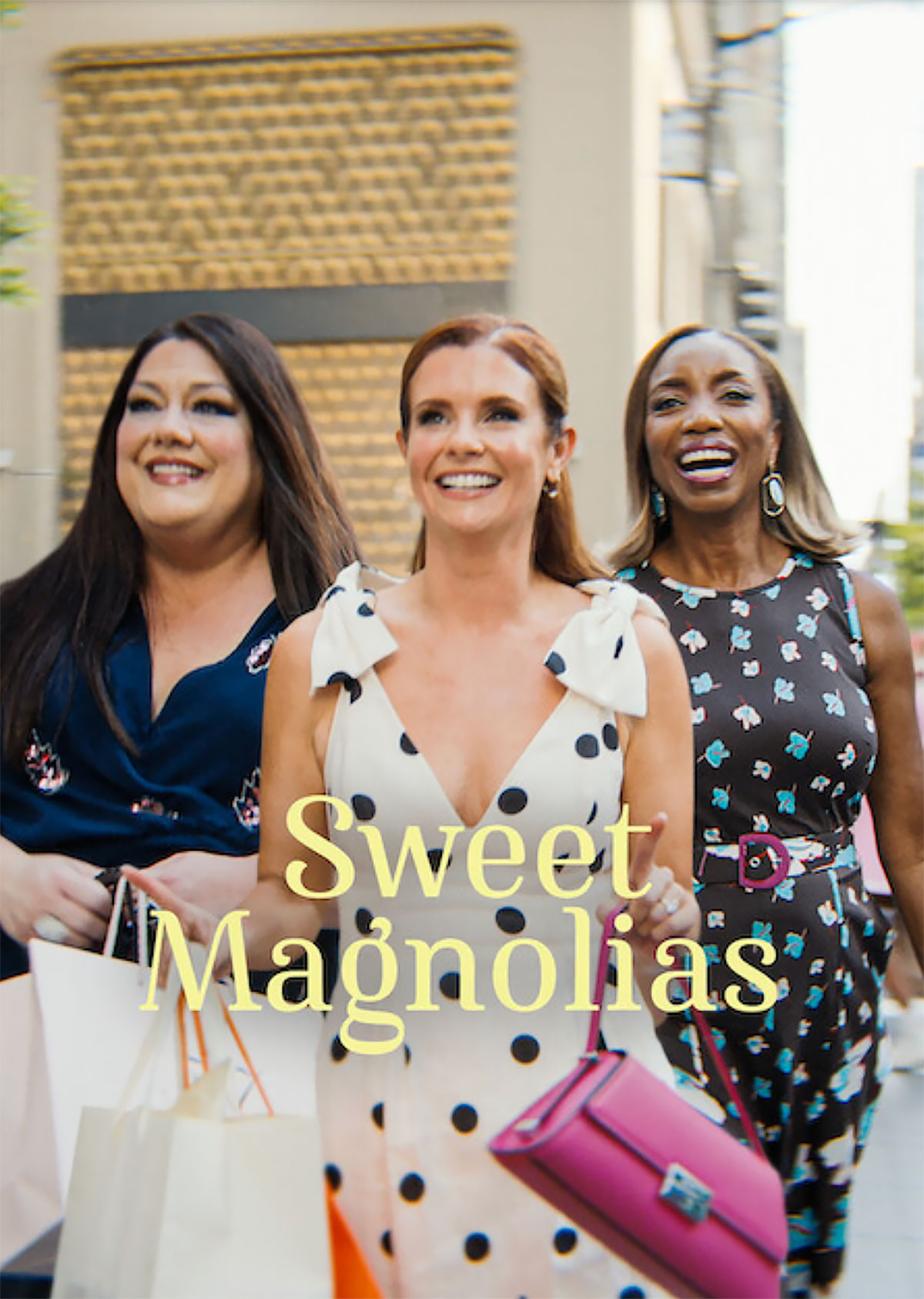 Sweet Magnolias Show Page