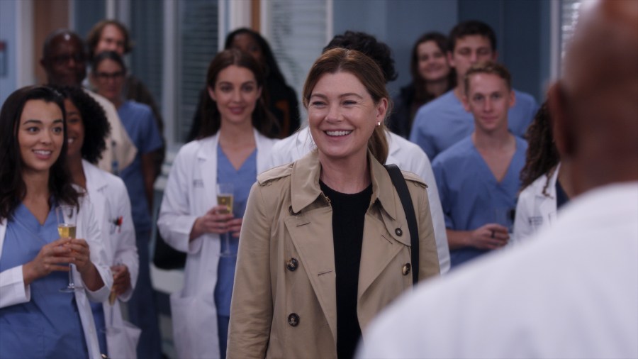 GREY'S ANATOMY
