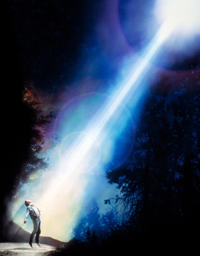 D.B. Sweeney in Fire in the Sky