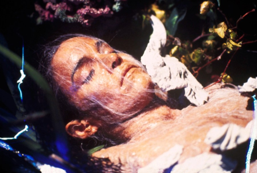 Brooke Adams in Invasion of the Body Snatchers
