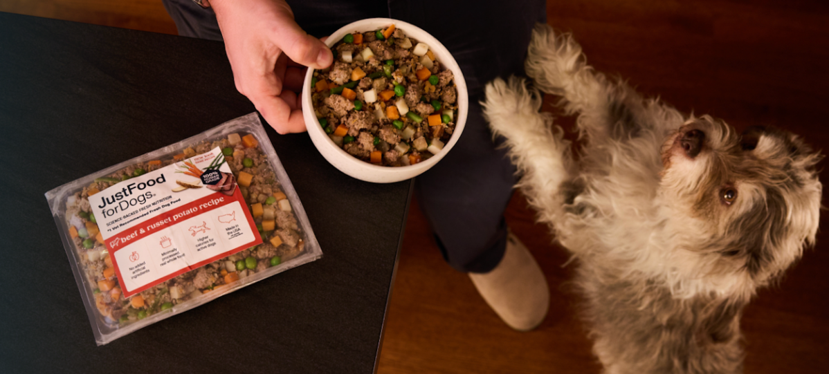 just food for dogs