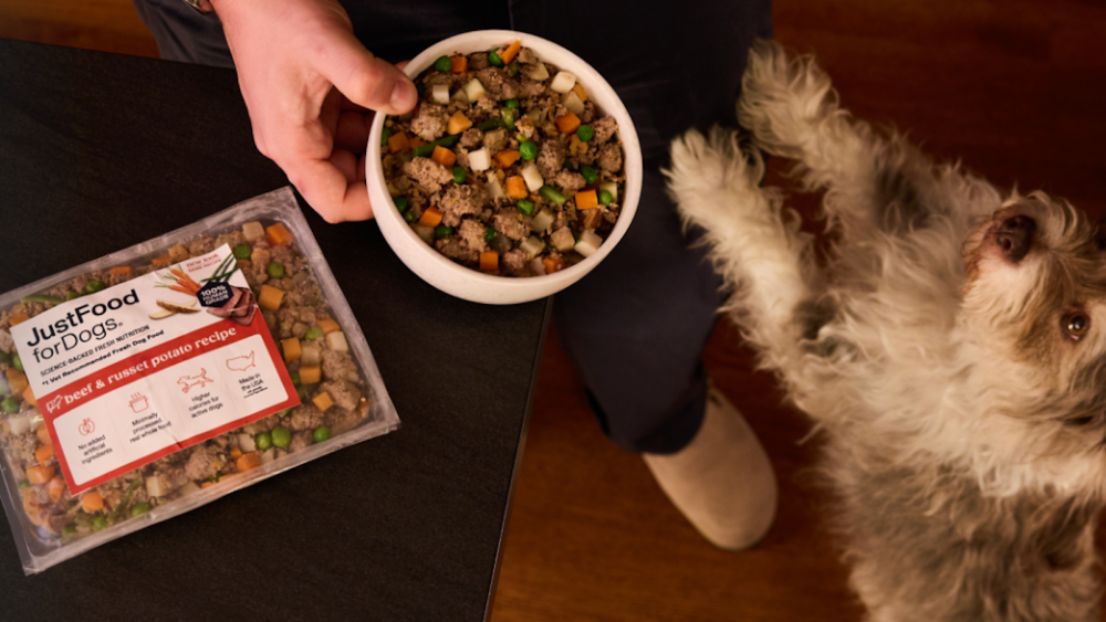 Save Big on Vet-Recommended Fresh Dog Food During Prime Day