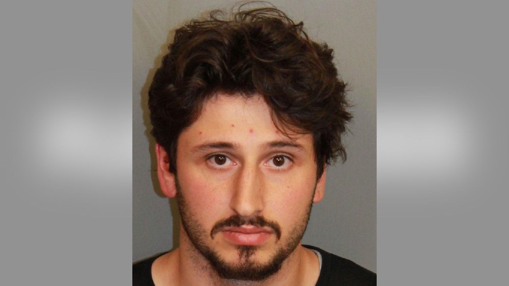 Man, 21, Arrested After He Threw 5 Kittens Out of His Moving Car on Highway