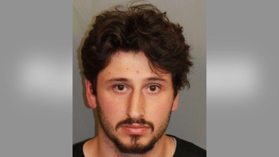 Alabama Man, 21, Arrested After He Allegedly Threw 5 Kittens Out of His Moving Car on Busy Highway