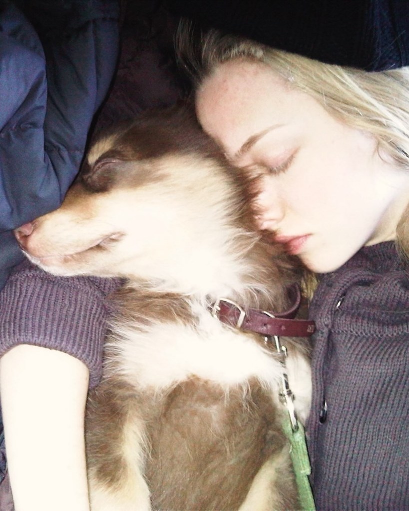 Amanda Seyfried Shares Touching Tribute to Beloved Dog Finn After Death at 16: 'Forever and Ever'