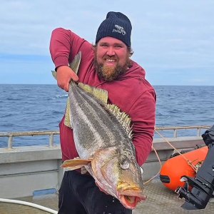 Cooking Influencer Joel Yukich Dead at Age 35