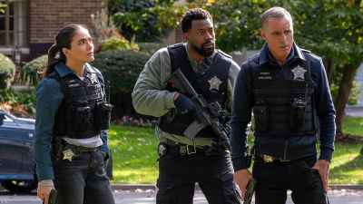 Feature Arienne Mandi LaRoyce Hawkins Jason Beghe Chicago PD