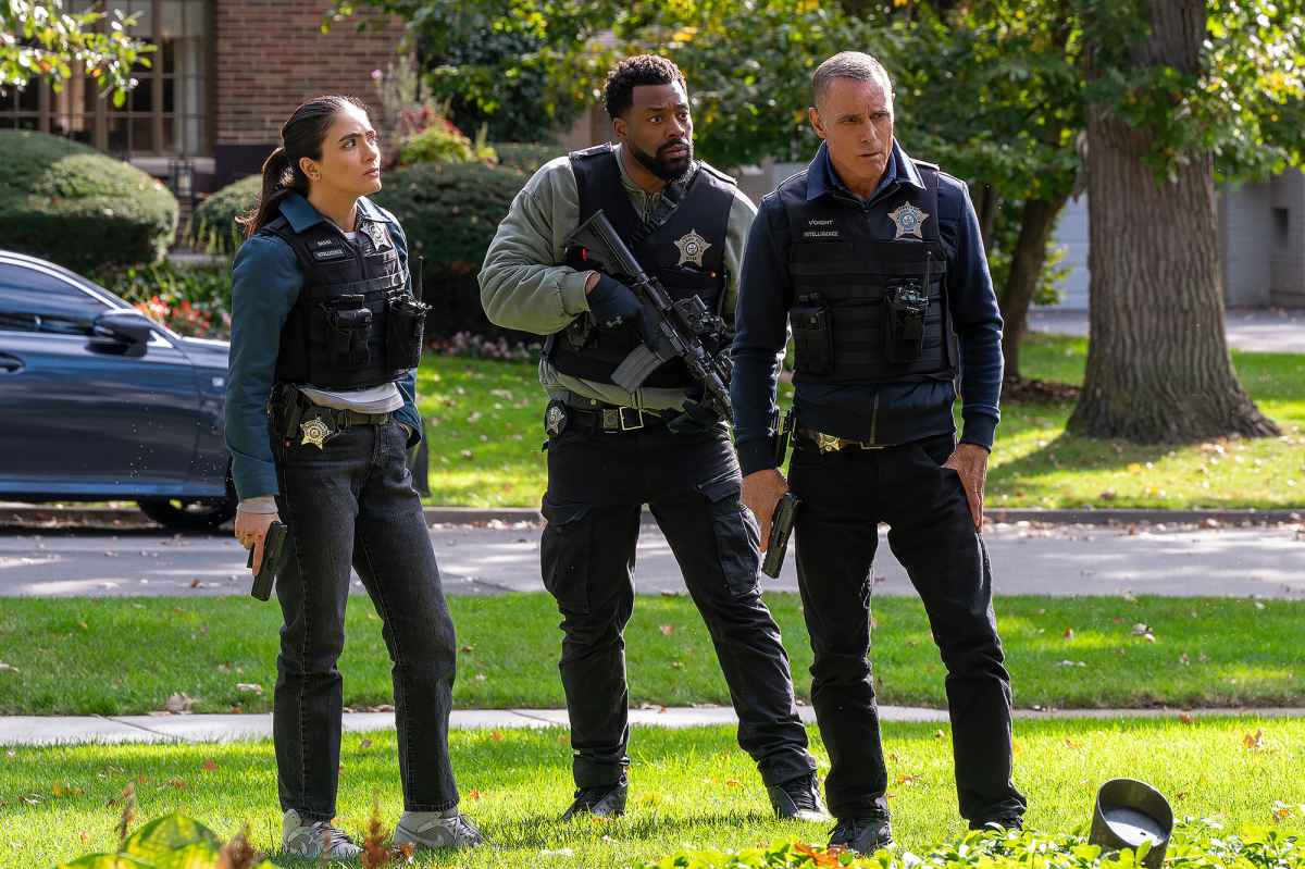 Feature Arienne Mandi LaRoyce Hawkins Jason Beghe Chicago PD