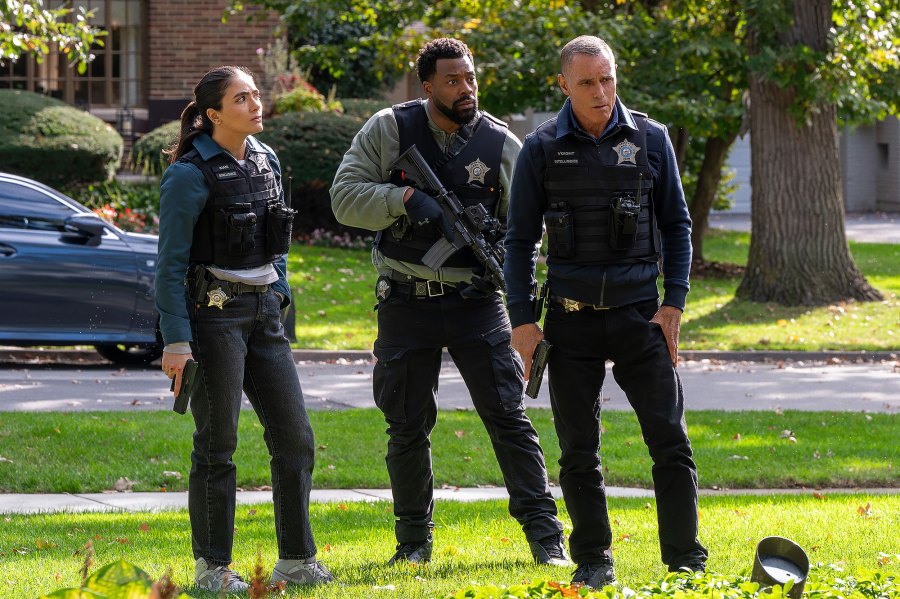 How Did Chicago P.D. Write Off LaRoyce Hawkins After Shocking Show Exit?