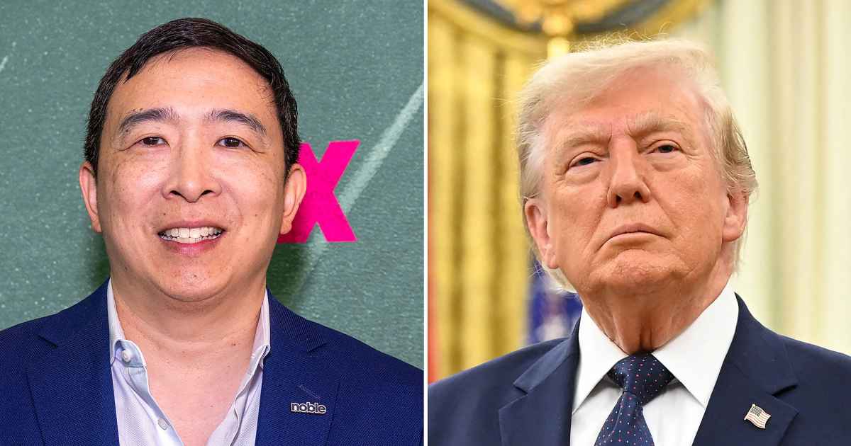 Andrew Yang Shares What He Hopes Donald Trump Thinks of His Stint on ‘Nation’s Dumbest’ (Exclusive) Andrew Yang Shares What He Hopes Donald Trump Thinks of His Stint on ‘Nation’s Dumbest’ (Exclusive)