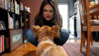 GettyImages-1247806310-Barkitecture-Is-Starting-to-Change-How-Homes-Are-Actually-Built-Heres-What-That-Means-for-Your-Pet