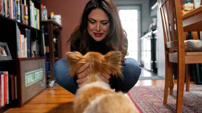 GettyImages-1247806310-Barkitecture-Is-Starting-to-Change-How-Homes-Are-Actually-Built-Heres-What-That-Means-for-Your-Pet